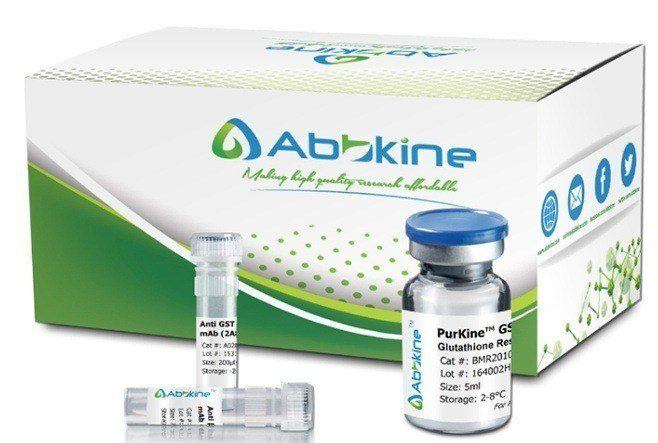 PurKine™ Endotoxin Removal Kit (Polymyxin B) - Stratech